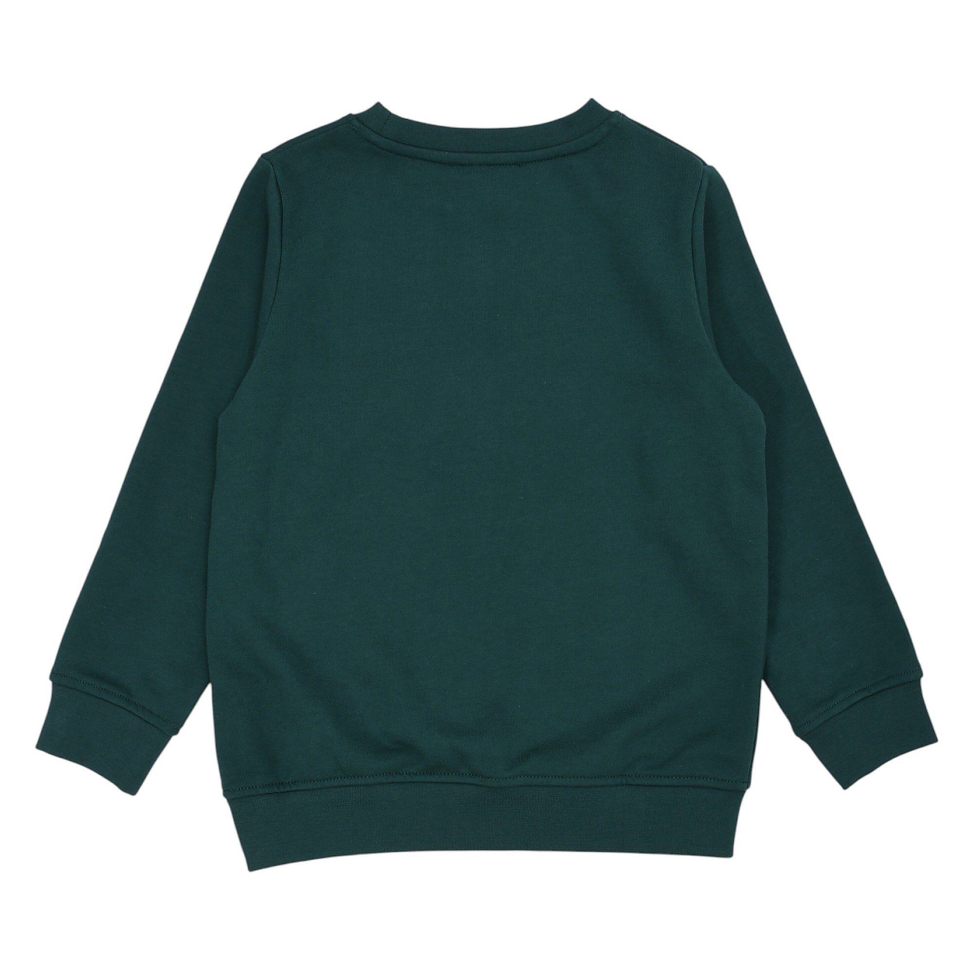 Green crew neck sweatshirt with long sleeves, ribbed cuffs, and ribbed hem. Plain back.