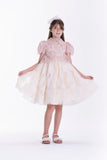 Pink collared dress with short puff sleeves, floral lace bodice, and a gold-toned button. Cream textured full skirt with a sh