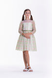 Off-white embroidered tulle dress with green vertical stripes and pink floral motifs, sheer long sleeves, and a green ribbon