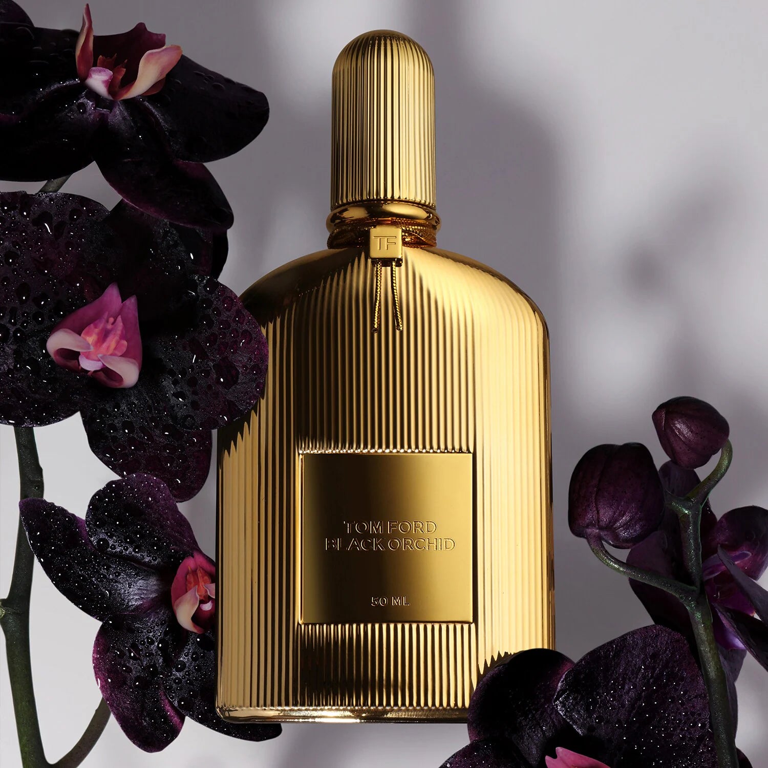 Tom Ford Black Orchid Parfum 100ml Bluesalon
