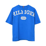 Tommy Hilfiger Kids Boy's Blue Long Sleeve T-Shirt