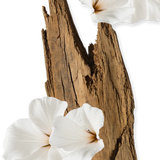 Parfums de Marly Valaya Hair Perfume - 75ml