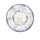 Stechol Fine Bone China 12pcs V Shape Tea Cup & Saucer Set