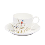 Stechol Fine Bone China 12pcs V Shape Tea Cup & Saucer Set