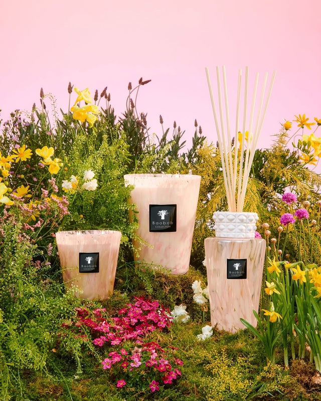 Baobab Collection