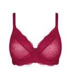 Triumph SpotlightAnta