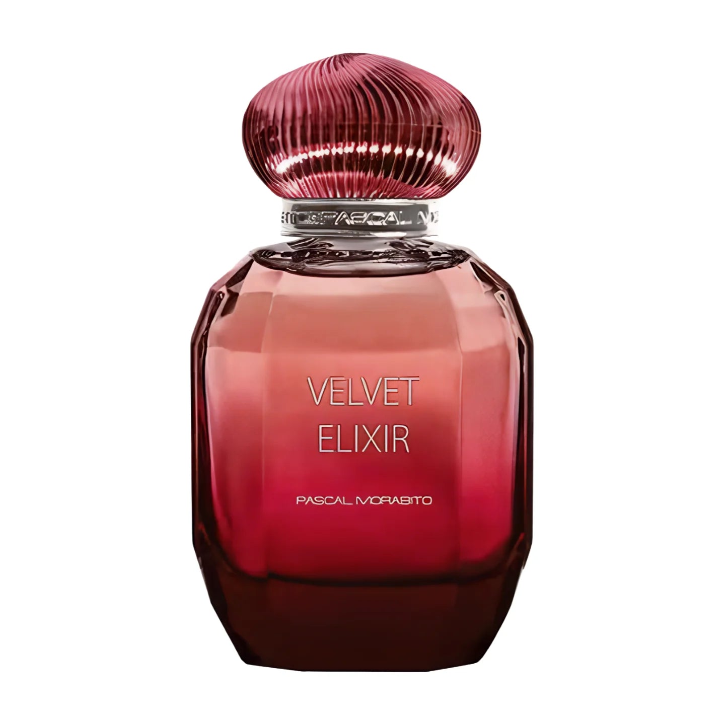 Pascal Morabito Velvet Elixir Eau de Parfum-100ml | Beauty | Beauty Fragrances | Beauty Women fragrances | Fragrance | Fragrances | Women'S Fragrances