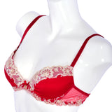 Lise Charmel Underwired Bra