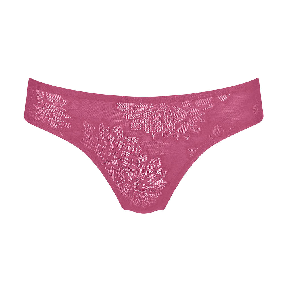 Triumph Smart TaiDeep Cobalt