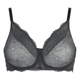 Triumph SpotlightAnta