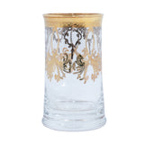 Timon Gift Box Of 6 Pcs Doninzetti Long Drink Glass Platinum Gold