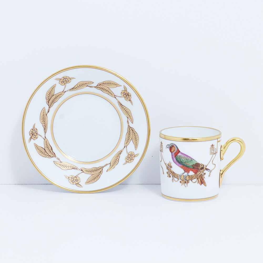 Richard Ginori Impero Voliere Perroquet Nestor Coffee Cup With Saucer