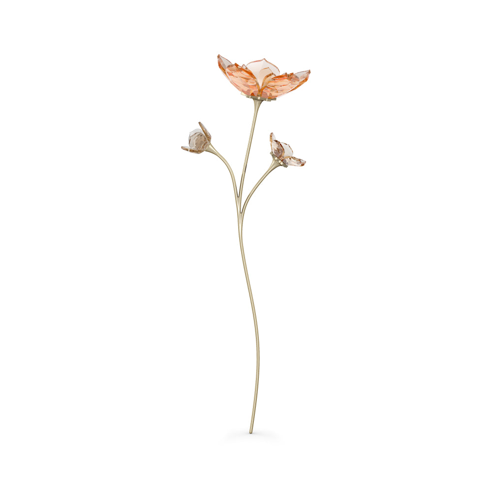 Swarovski Garden Tales Magnolia | Accessories | New Prices | Women | Womens