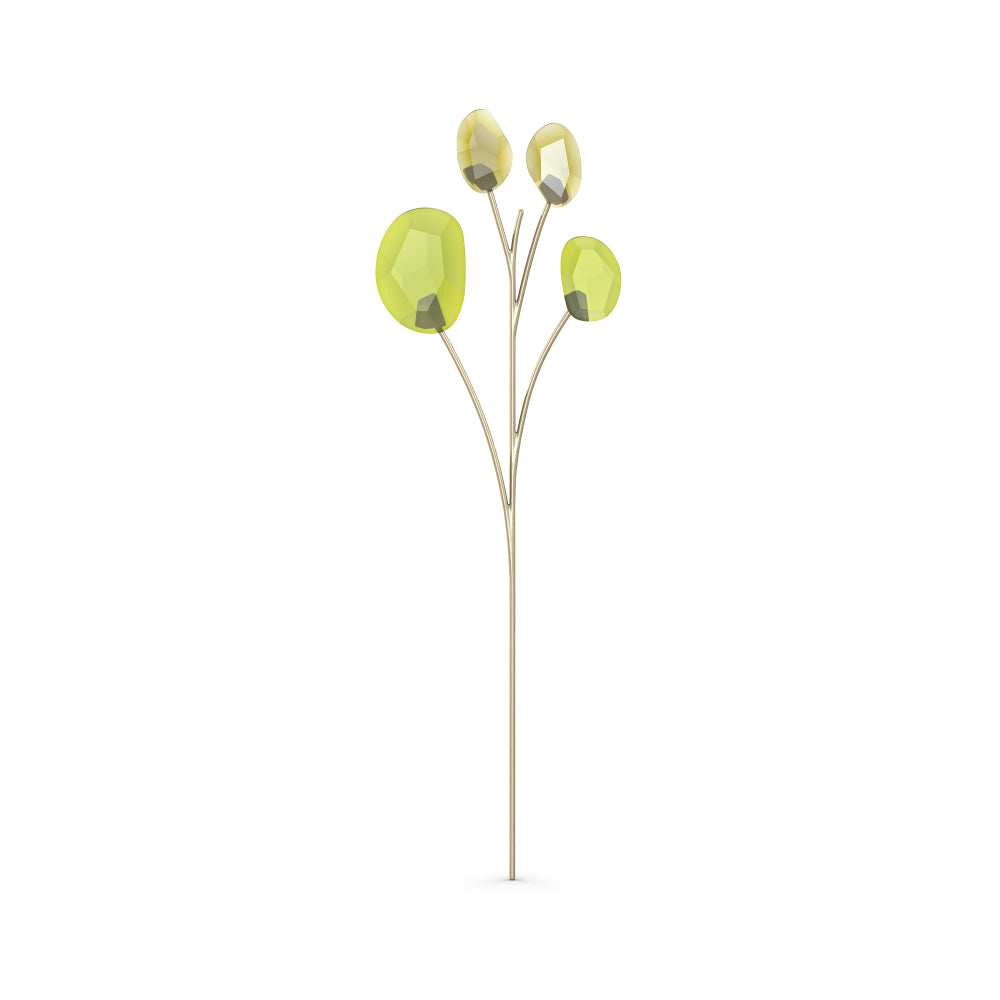 Swarovski Garden Tales Eucalyptus | Accessories | New Prices | Women | Womens