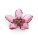 Swarovski Garden Tales Cherry Blossom Magnet, Large