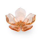 Swarovski Garden Tales Magnolia Magnet, Large