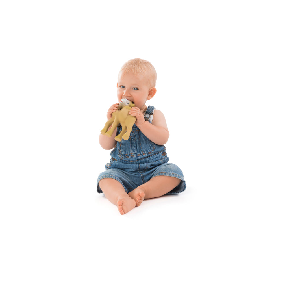 Sophie la girafe Kids Camel Teething Toy (19cm) | Boys | New Born | New Born Boy (0M - 9M) | New Born Girl (0M - 9M) | Play Time Sophie la girafe Kids Camel Teething Toy (19cm) | Boys | New Born | New Born Boy (0M - 9M) | New Born Girl (0M - 9M) | Play Time