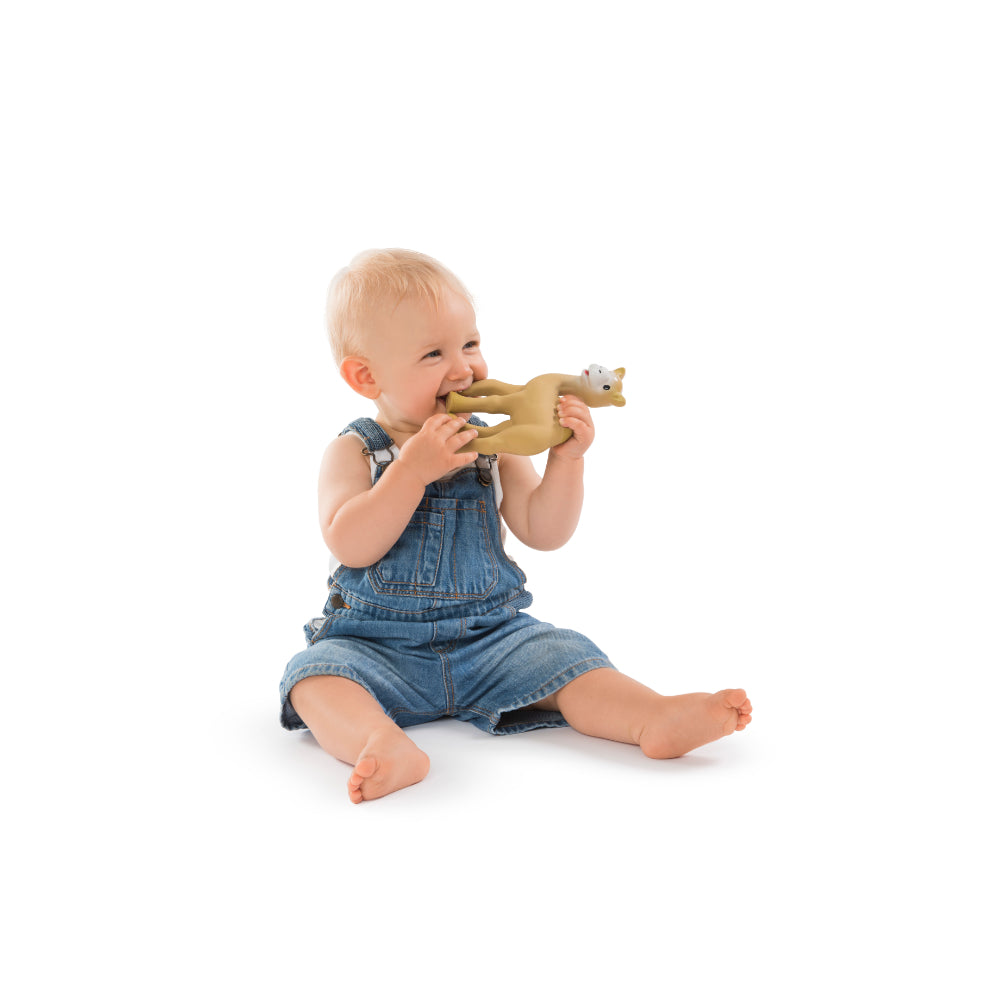 Sophie la girafe Kids Camel Teething Toy (19cm) | Boys | New Born | New Born Boy (0M - 9M) | New Born Girl (0M - 9M) | Play Time Sophie la girafe Kids Camel Teething Toy (19cm) | Boys | New Born | New Born Boy (0M - 9M) | New Born Girl (0M - 9M) | Play Time