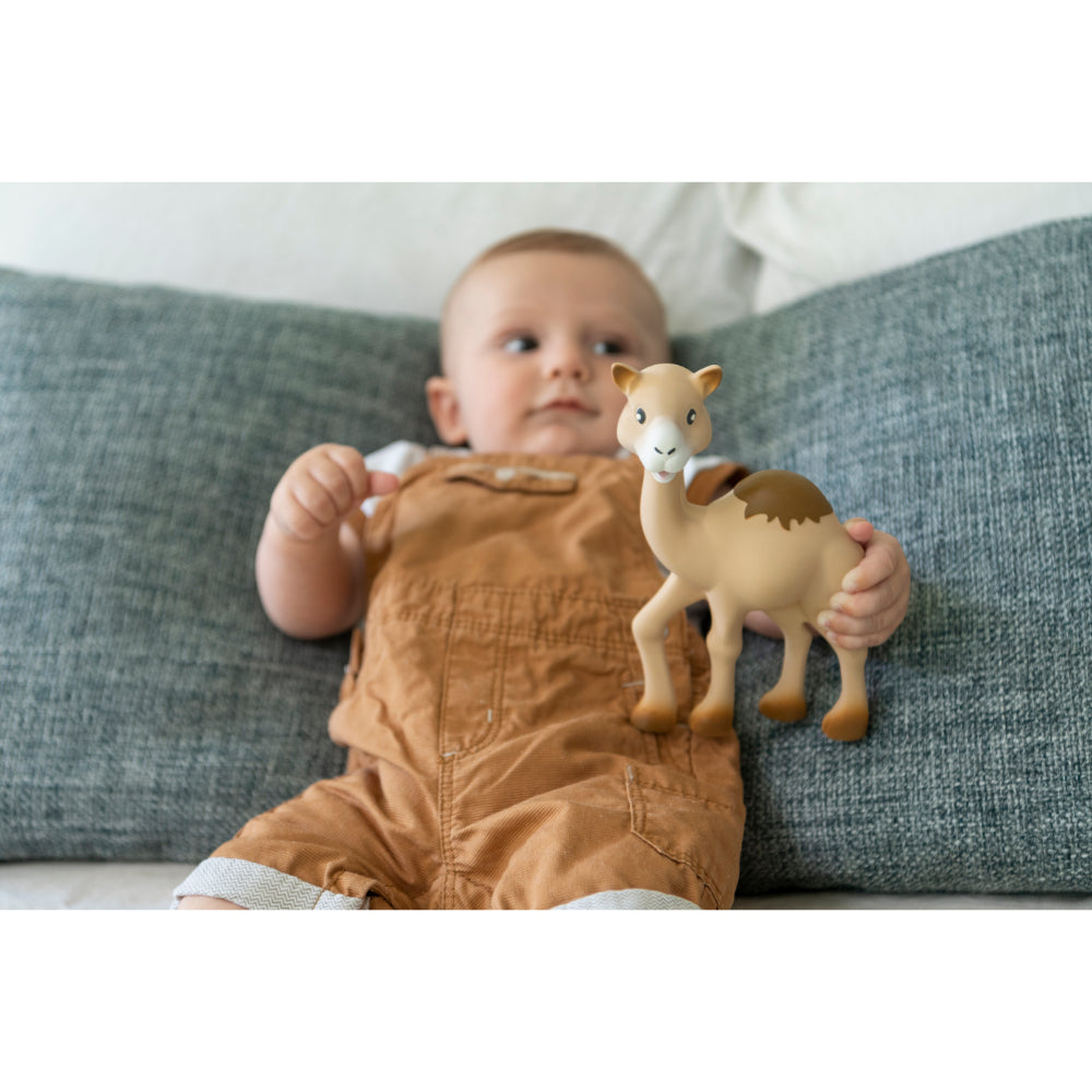 Sophie la girafe Kids Camel Teething Toy (19cm) | Boys | New Born | New Born Boy (0M - 9M) | New Born Girl (0M - 9M) | Play Time Sophie la girafe Kids Camel Teething Toy (19cm) | Boys | New Born | New Born Boy (0M - 9M) | New Born Girl (0M - 9M) | Play Time