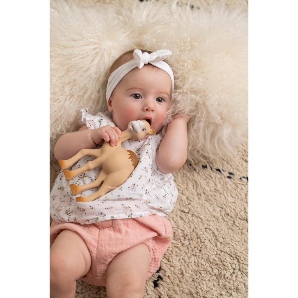 Sophie la girafe Kids Camel Teething Toy (19cm) | Boys | New Born | New Born Boy (0M - 9M) | New Born Girl (0M - 9M) | Play Time Sophie la girafe Kids Camel Teething Toy (19cm) | Boys | New Born | New Born Boy (0M - 9M) | New Born Girl (0M - 9M) | Play Time