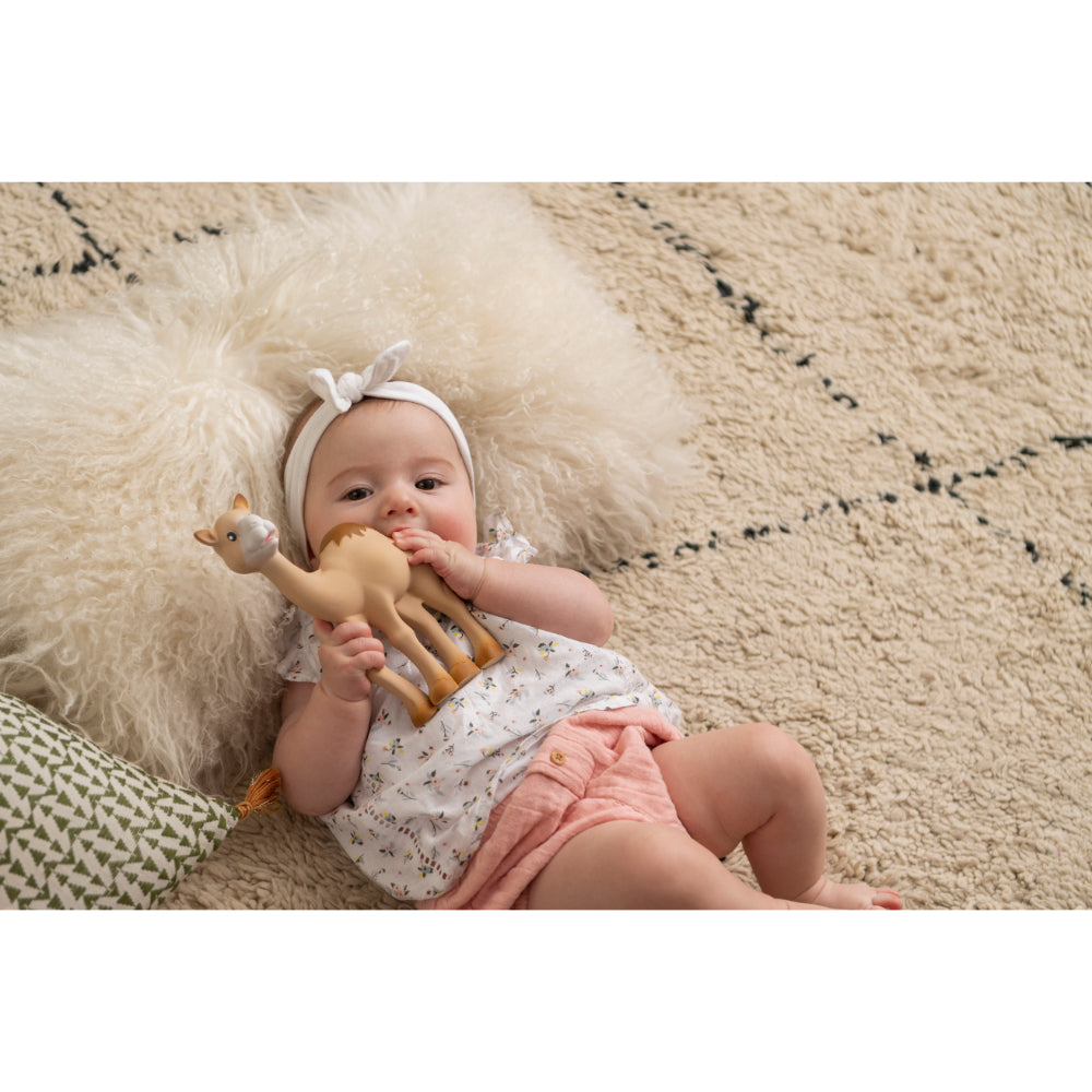 Sophie la girafe Kids Camel Teething Toy (19cm) | Boys | New Born | New Born Boy (0M - 9M) | New Born Girl (0M - 9M) | Play Time Sophie la girafe Kids Camel Teething Toy (19cm) | Boys | New Born | New Born Boy (0M - 9M) | New Born Girl (0M - 9M) | Play Time