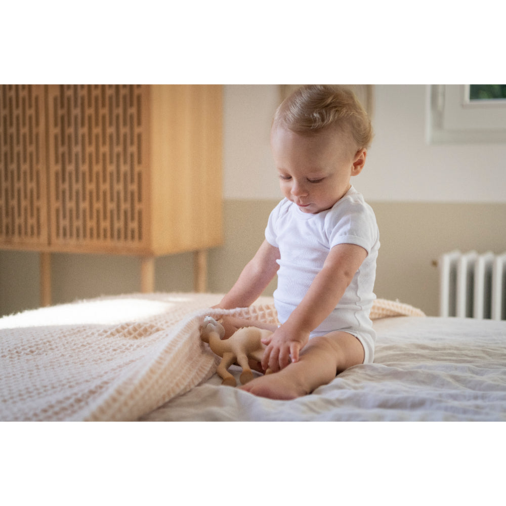 Sophie la girafe Kids Camel Teething Toy (19cm) | Boys | New Born | New Born Boy (0M - 9M) | New Born Girl (0M - 9M) | Play Time Sophie la girafe Kids Camel Teething Toy (19cm) | Boys | New Born | New Born Boy (0M - 9M) | New Born Girl (0M - 9M) | Play Time