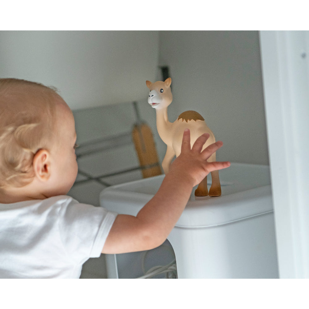 Sophie la girafe Kids Camel Teething Toy (19cm) | Boys | New Born | New Born Boy (0M - 9M) | New Born Girl (0M - 9M) | Play Time Sophie la girafe Kids Camel Teething Toy (19cm) | Boys | New Born | New Born Boy (0M - 9M) | New Born Girl (0M - 9M) | Play Time