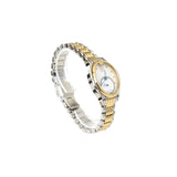 Aigner Rivoli Ladies Watch