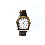 Aigner Viterbo Men'S Watch