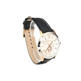 Aigner Treviso Men'S Watch