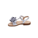 Andanines Ballerina Silver Color