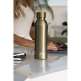 Bugatti BBT-DS500DL B Bottles Twin Lux 500Ml Bru.Gold
