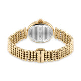 Cerruti 1881 Nemi Women Green Mop And Rose Gold   Watch