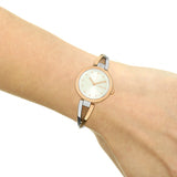 DKNY Crosswalk Ladies Watch