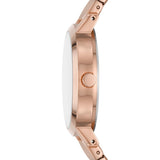 DKNY Modernist Ladies Watch