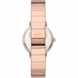 DKNY Modernist Ladies Watch