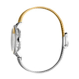 Esprit Ladies Stainless Steel Watch 2Tone Dial & Bicolor Mesh Bracelet
