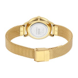 Esprit Ladies Watch Gold Mesh Bracelet & Golden Dial Set With Accessories