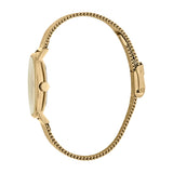 Esprit Ladies Watch Gold Mesh Bracelet & Golden Dial Set With Accessories