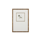 Ethan Allen Wall Frame "Watercolour Bird Iii" 50X70 cm
