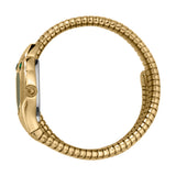 Just Cavalli Women Watch, Gold Color Case, Dark Green Mop Dial, Gold Color Stainless Steel Metal Bracelet