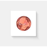 SMR Cosmetics Garden Bouquet Blusher