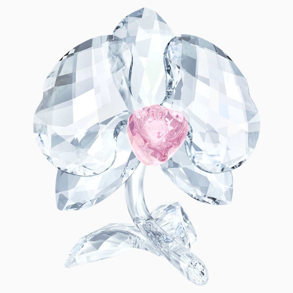 Swarovski Orchid | Accessories | Women | Womens Swarovski Orchid | Accessories | Women | Womens