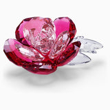 Swarovski,Peony,Pink,One Size