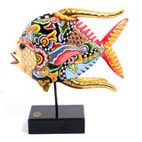 Toms Drag Butterfly Fish