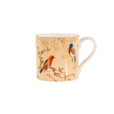 Stechol Gift Box Apricot Mugs Set of 2 Pieces