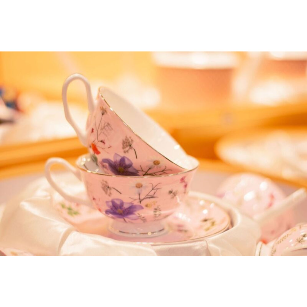 Stechol Fine Bone China Cups and Saucer 12pcs | Drinkware Stechol Fine Bone China Cups and Saucer 12pcs | Drinkware