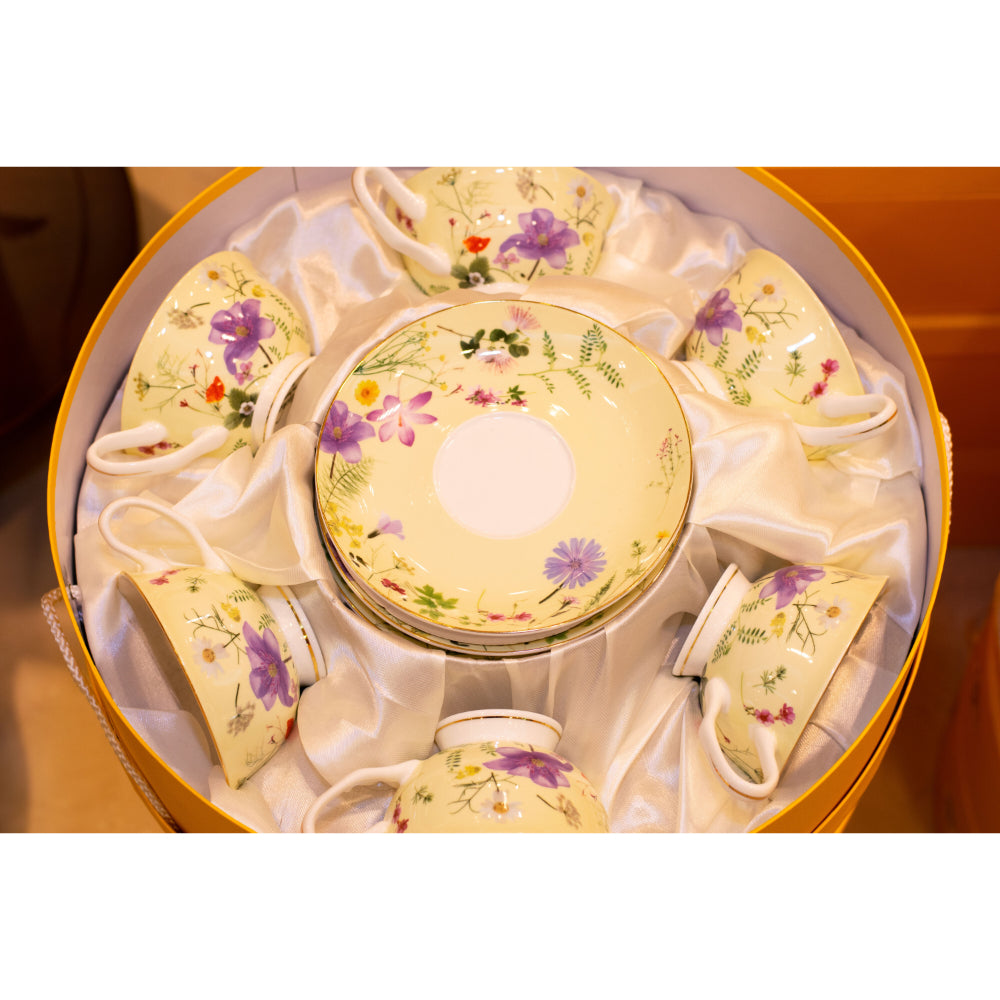 Stechol Fine Bone China Cups and Saucer 12pcs | Drinkware Stechol Fine Bone China Cups and Saucer 12pcs | Drinkware