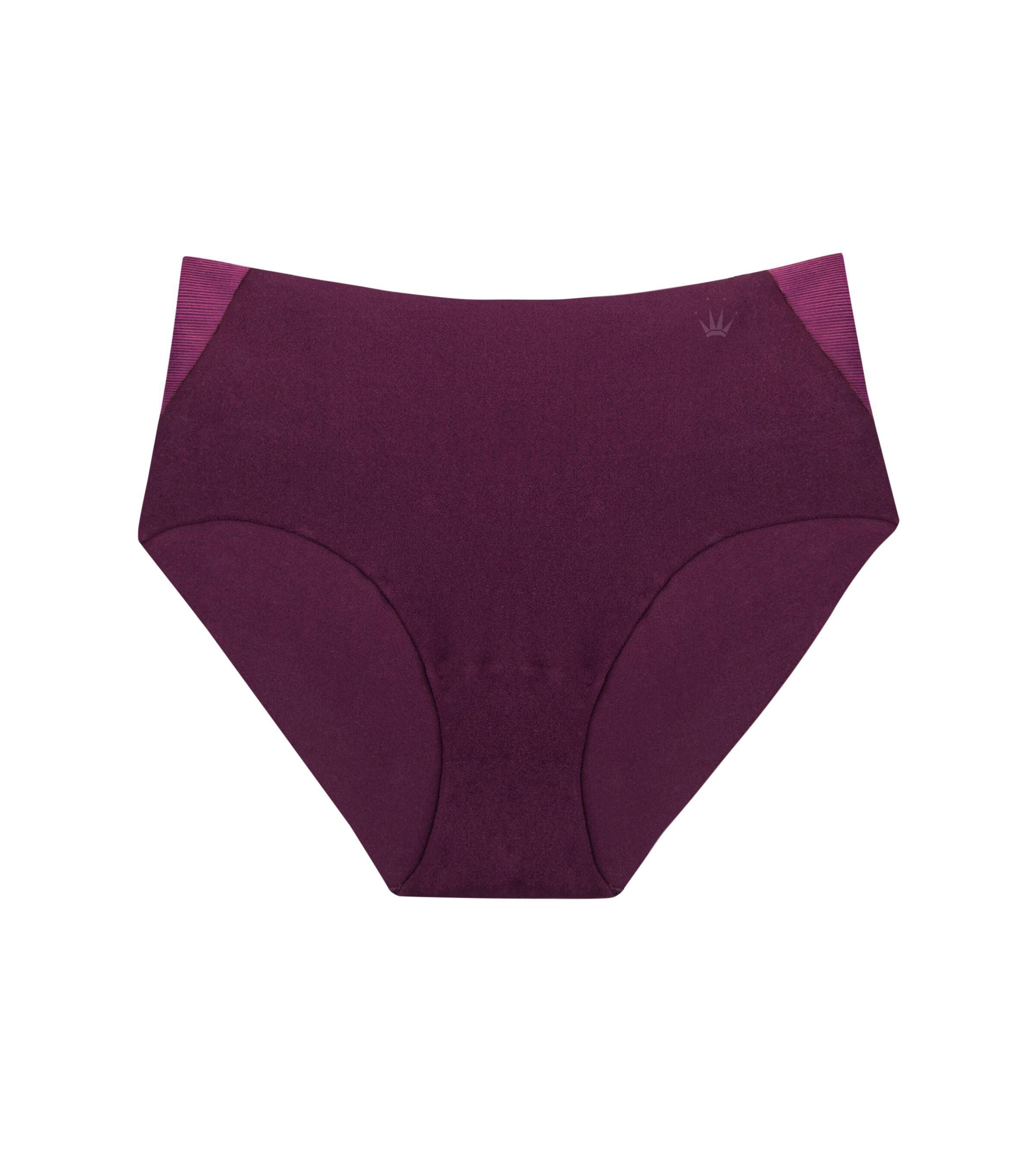 Briefs Womens Underwear in French Flag Color Stripes Cheeky Briefs Panties  Sizes XS-XL Tricolour Drapeau Français 